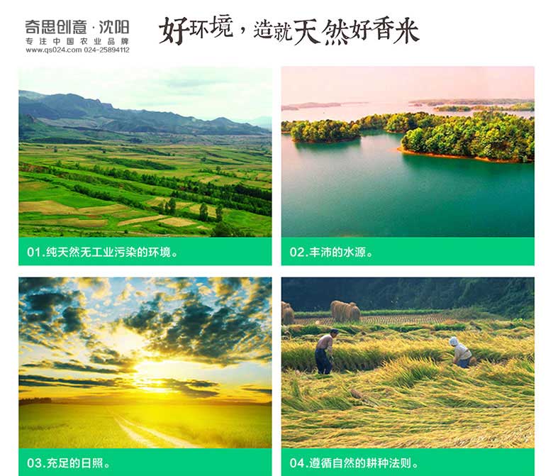 米业品牌标志设计，全程VI策划设计，专业大米包装设计，沈阳奇思创意