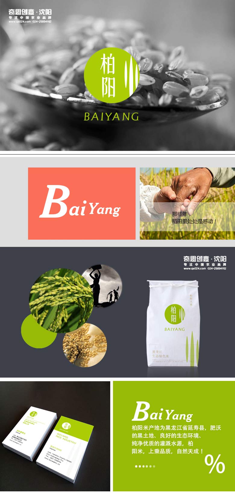 沈阳奇思创意，品牌logo设计，专业大米包装设计，大米品牌策划，大米包装设计公司，大米品牌设计，大米品牌画册手册，米业画册设计印刷