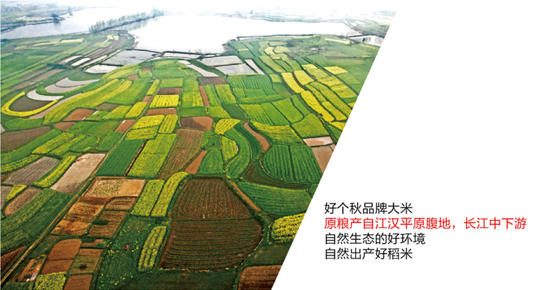 专业粮油品牌包装设计，大米包装设计，专卖店设计，农业品牌全案策划
