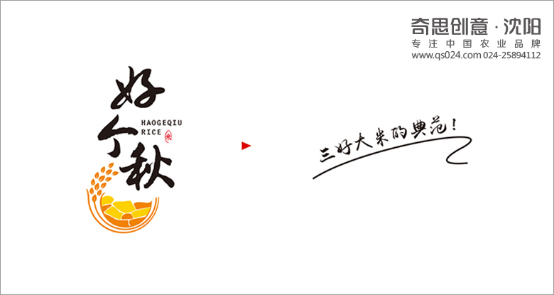 专业粮油品牌包装设计，大米包装设计，专卖店设计，农业品牌全案策划