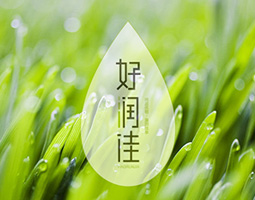尚品优稻，温润佳享——湖南常德金利米业好润佳品牌策划